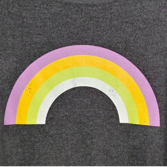 Wildfox Sommers After the Rain Gray Rainbow Sweatshirt Top Women's Size XL & XS - Picture 3 of 8